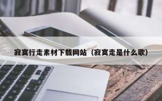 海东寂寞行走素材下载网站（寂寞走是什么歌）