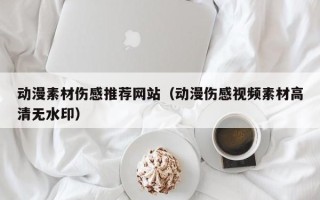海东动漫素材伤感推荐网站（动漫伤感视频素材高清无水印）